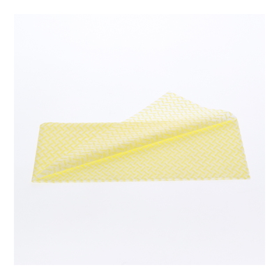 Voiles imprégnés Dustolin - 60 x 25 cm - 1 x 100 pièces