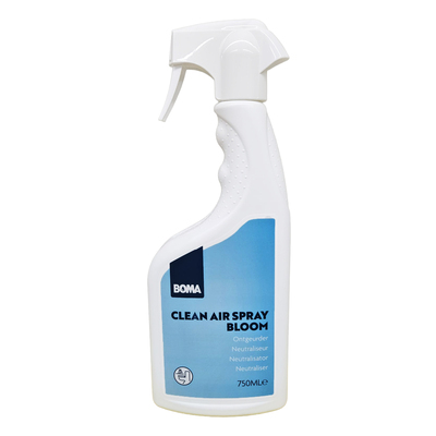 Clean Air Spray Bloom - 750 ml