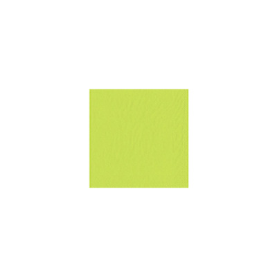 Tork Napkin Lime 2l 4-v33x33cm 10x200pcs