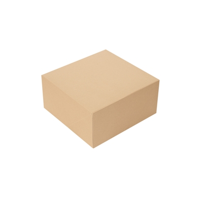 Catering Box natural cardboard 24x24x12cm 100pcs