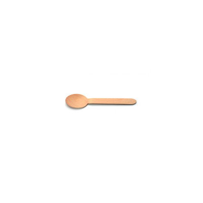 Spoon wood 160mm 24x100pcs