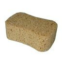 Sponsen