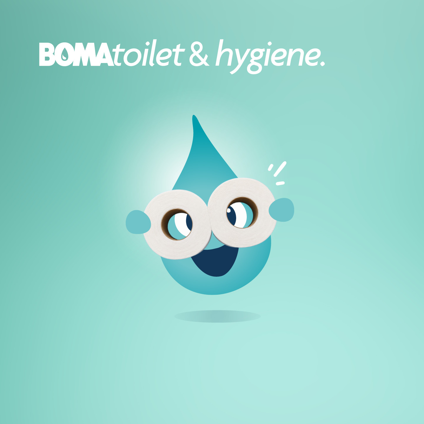 toilet hygiene