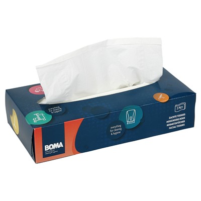 773615: Facial Tissue - 2 laags - 21 x 21 cm - 100 stuks