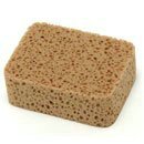 Sponsen